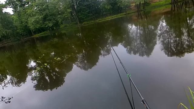 Караси гиганты рвут леску смотреть онлайн