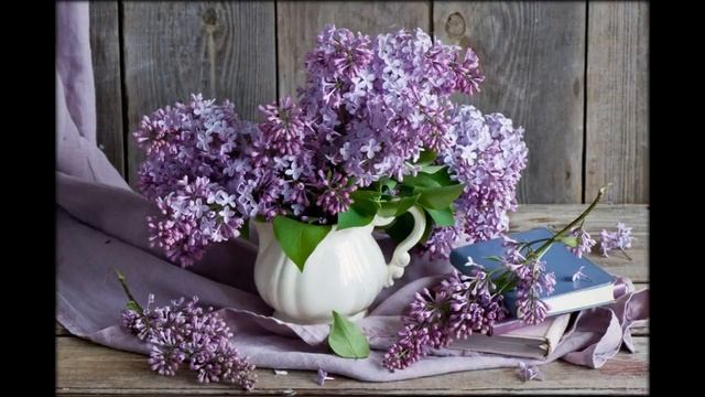 Сирень цветы