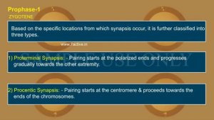 MEIOSIS OR REPRODUCTION DIVISION _ PART 02