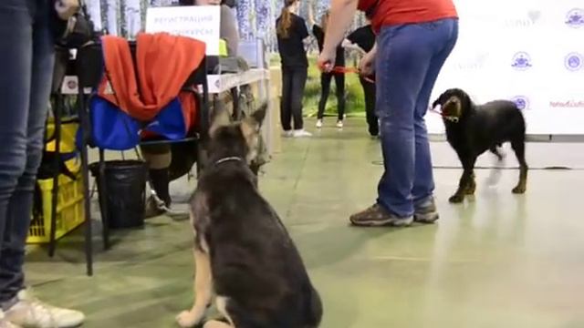 Веолар Аврора 3 мес смотреть онлайн