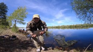 ТОЛЬКО ЗАБРАСЫВАЙ. РЫБАЛКА ВЕСНОЙ. Рыбалка на фидер. Припять.