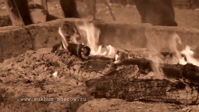 Ажьырныхәа. Древний абхазский новый год! Даур Латария. смотреть онлайн