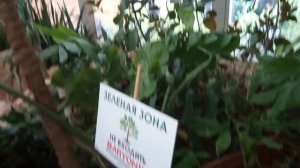 Аквапарк "Барионикс" в Казани