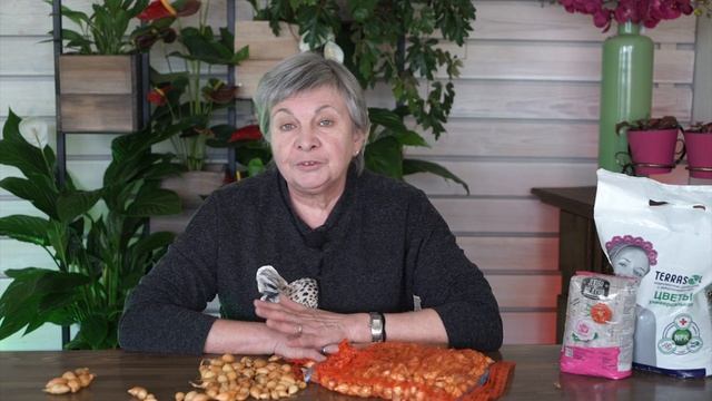 КАК ПРАВИЛЬНО ВЫБРАТЬ ЛУК-СЕВОК ✔️ смотреть онлайн