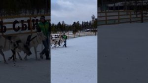 Саамская деревня  Мурманская область