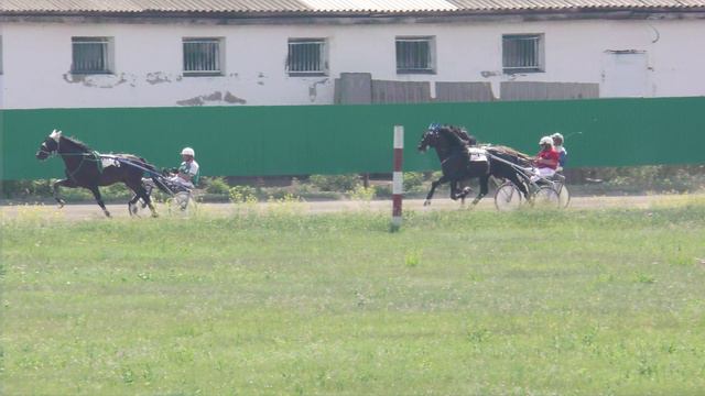 29.06.2024г.Абаканский Ипподром Приз Барса лошади орловской рысистой породы 4-х лет  2400м