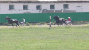 29.06.2024г.Абаканский Ипподром Приз Барса лошади орловской рысистой породы 4-х лет  2400м