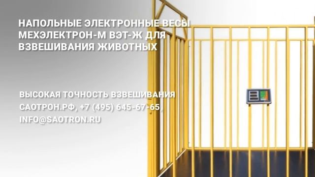 Весы для взвешивания животных Мехэлектрон-М ВЭТ-1С-Ж.mp4