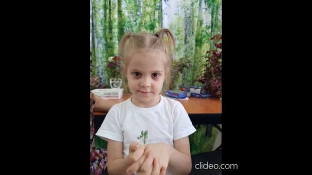 Наше совместное творчество Березка смотреть онлайн