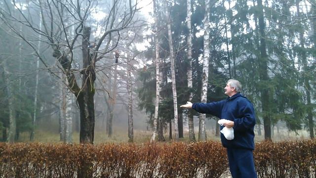 Кисловодск. Парк. Осень. Егорий. смотреть онлайн