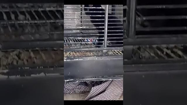 СМОТРЕТЬ!!!!!!