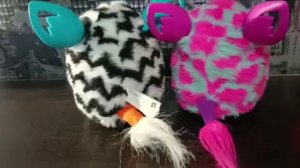 VID-20221217-WA0000.mp4