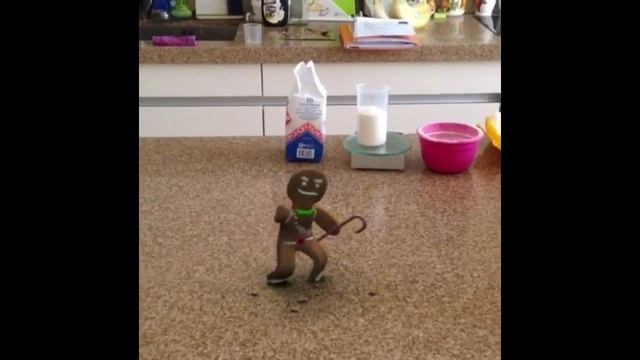 Камера видеонаблюдения засняла куда пропадают продукты, пока Вас нет дома. смотреть онлайн