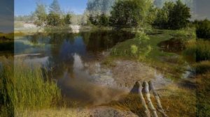 "ГЛАЗА ТВОИ СМЕШЛИВЫЕ"... (Фото Геннадия Ярославцева (Воскресенск) Ансамбль "Северянка")