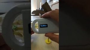 Ушные бирки с чипом.