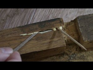 Реставрация  мебели. Ликвидация трещин