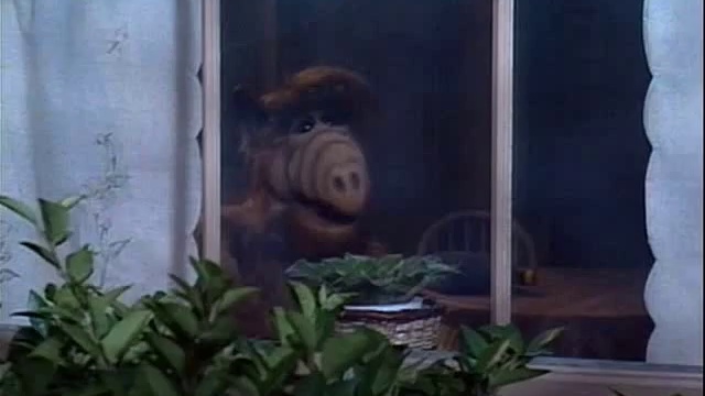 Альф Сезон 1 Серия 21 - Глядя в окно смотреть онлайн