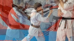 Маваши гери. Mawashi geri