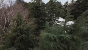 Сочи в январе. Где поесть и что посмотреть?