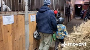 Прогулка на Лошадях в КСК Матадор