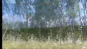 Песня "Русское поле"   Владимир Ивашов
