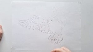 Master Drawing snowy owl with This Easy Pencil Tutorial for Kids - How to draw a snowy owl