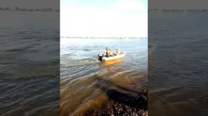 Вельбот 33 или виллбот 330 полный обзор