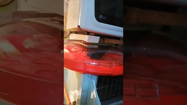 Мы любим перепелиные яички и задумала мама завести перепёлок на кухне (домашняя миниферма)