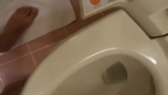 Краткая демонстрация стандартного японского унитаза смотреть онлайн