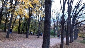 Осень в Краснодаре ботанический сад имени И. С. Косенко