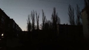 Звуки природы. Сойка-пересмешница - 1.