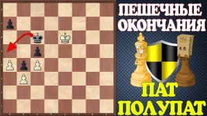 Шахматы. Учебник эндшпиля №22. Пешечные окончания. Пат и полупат