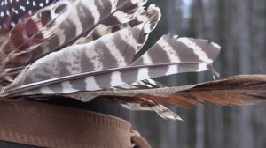 Коллективная охота женского охотничьего клуба в Эстонии.