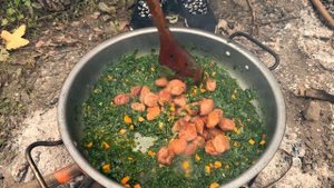 Village Lifestyle In IRAN | Cooking Chicken | Rural Life In IRAN
