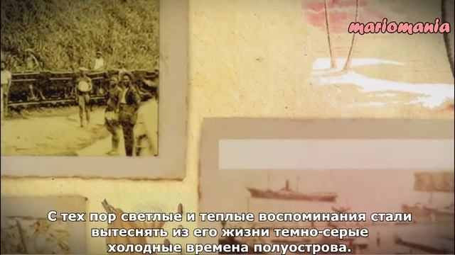 Пальмы в снегу