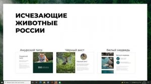 Эффект приближения в Power Point (Slide Zoom)