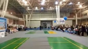 Интернациональная выставка собак "Екатеринбург XXI век". Группы 1,3,4,5,6,8