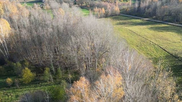 Latvijas pirmtautu apskats - Sēļi - to izcelsme un loma mūsu vēsturē смотреть онлайн