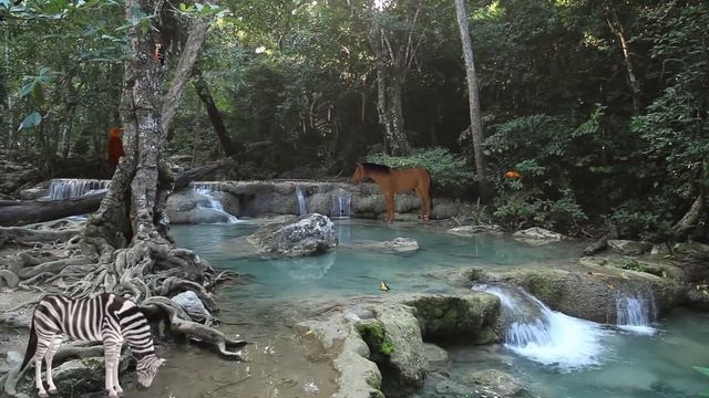 Baby Lullabies and Nature Sounds.