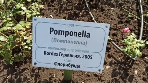 Кисловодск. Долина Роз, туда на электромобиле, обратно пешком/Kislovodsk, Russia/Park