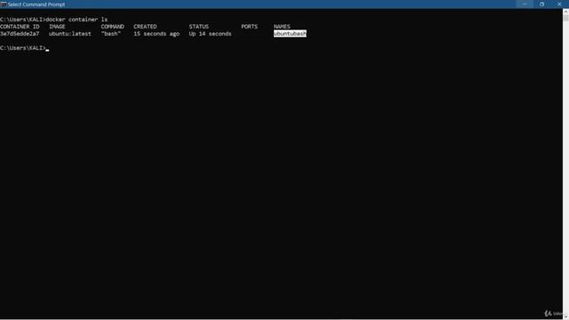 How to start interactive bash & execute cmd into running containers from outside - Docker Tutorial смотреть онлайн