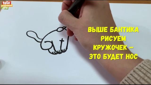 кошка_лх