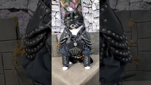 Неформал😸😻