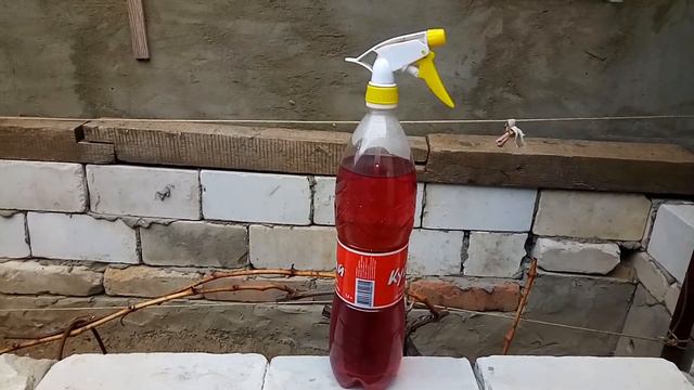 УКРЫВАЮ ВИНОГРАД НА ЗИМУ !