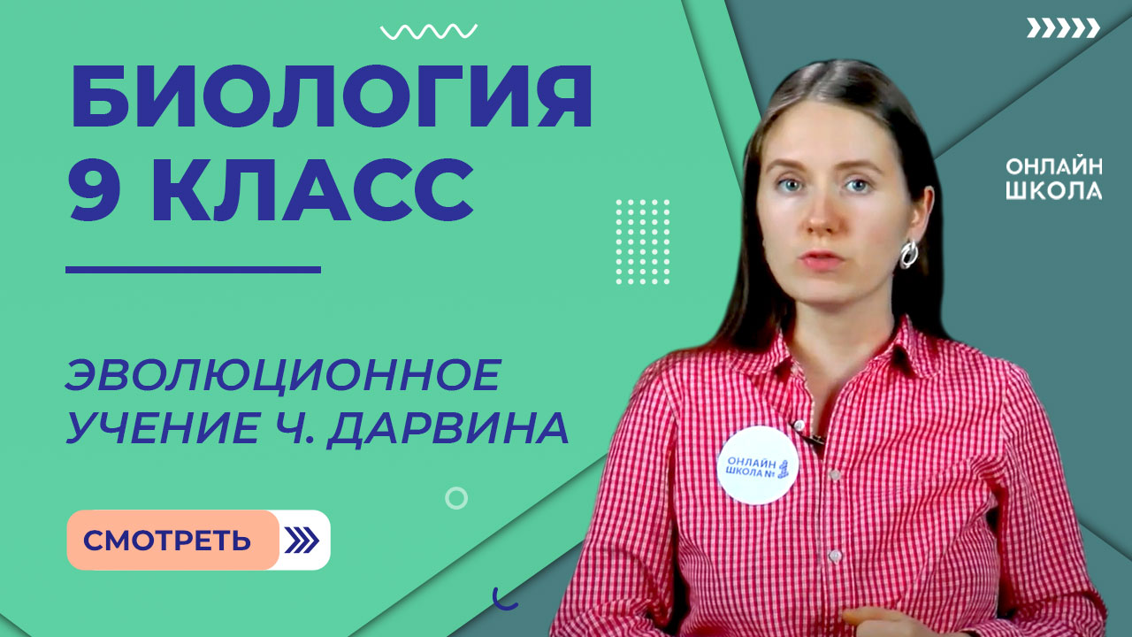 Эволюционное учение Ч. Дарвина. Движущие силы эволюции. Урок 27. Биология 9 класс