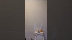 VID-20230708-WA0084.mp4