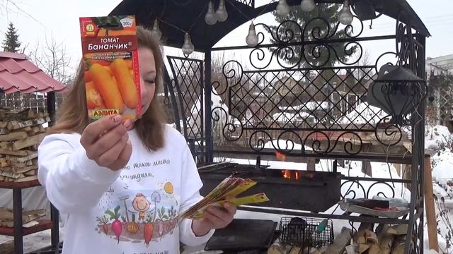Самые сладкие томаты! Эти томаты сладкие и крупные