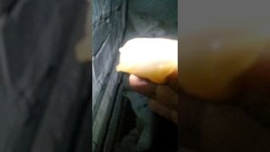 контрактный шрус выдавило смазку из под пыльника трипоида.