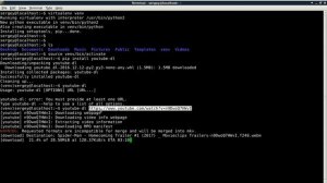 Как скачать видео с youtube с помощью youtube-dl в Linux