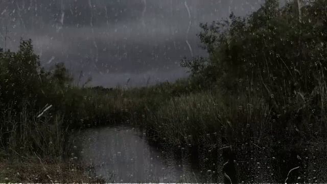 Heavy Rain & Thunder - Rain sounds for Sleep - 1 hour rain sounds for sleep смотреть онлайн
